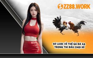 Sơ lược về thế gà đá xạ trong thi đấu chọi kê