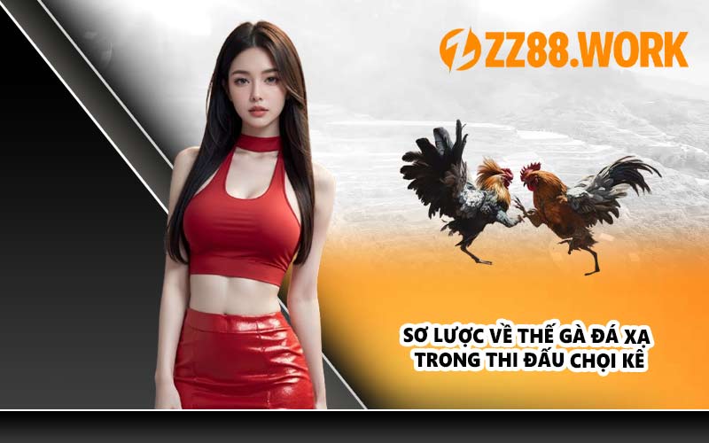 Sơ lược về thế gà đá xạ trong thi đấu chọi kê